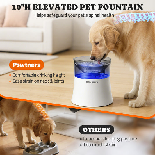 1 Gal/3.5L Dog Water Fountain,Elevated Dog Water Bowl Dispenser | Vortex Flow filter,Automatic Pet Water Fountain for Large Dogs Inside, Deep Drinking Area and Quiet Pump, 10" H